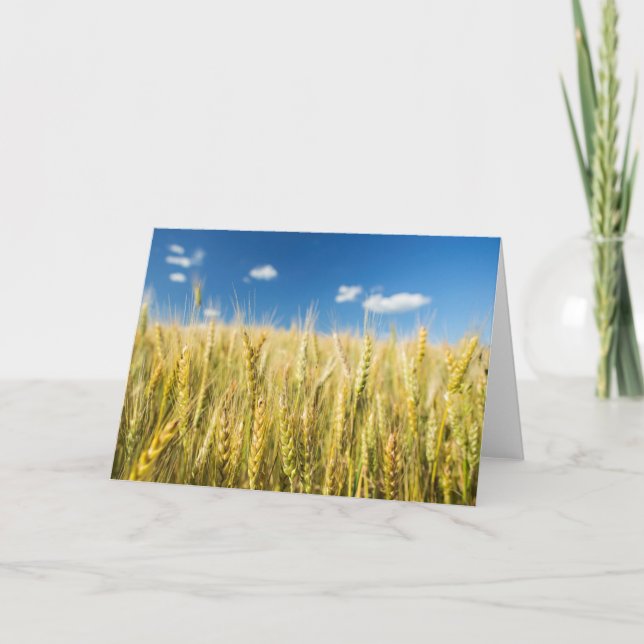 Kansas-Weizen Karte (Vorderseite)