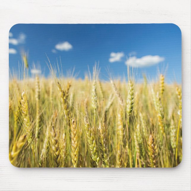 Kansas-Weizen Mousepad (Vorne)