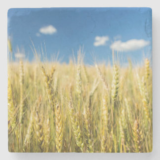 Kansas-Weizen Steinuntersetzer