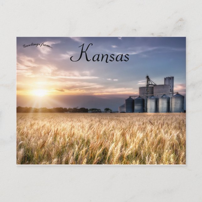Kansas Wheat Field Postkarte (Vorderseite)
