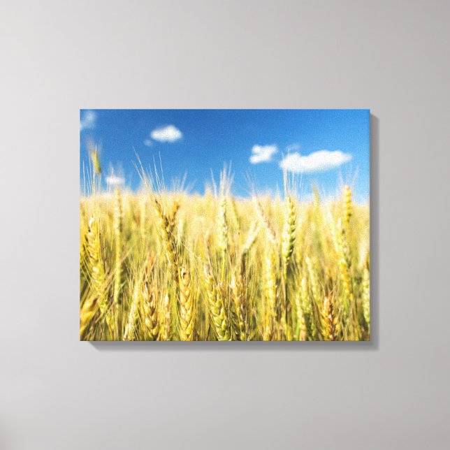 Kansas Wheat Leinwanddruck (Vorderseite)