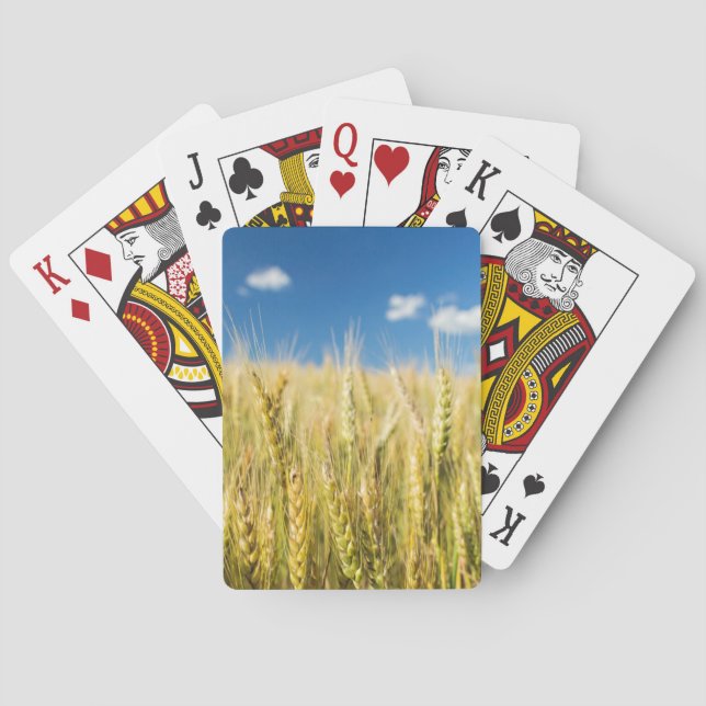 Kansas Wheat Spielkarten (Rückseite)