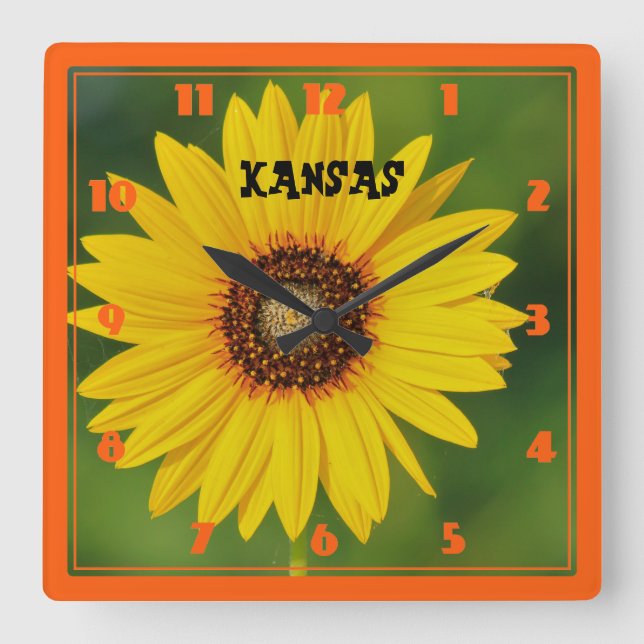 Kansas Wild Sunflower Quadratische Wanduhr (Vorderseite)