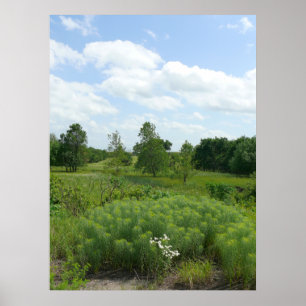 Kansas Wildblumen und Wiesen Poster