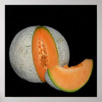 Kantalupe Melon