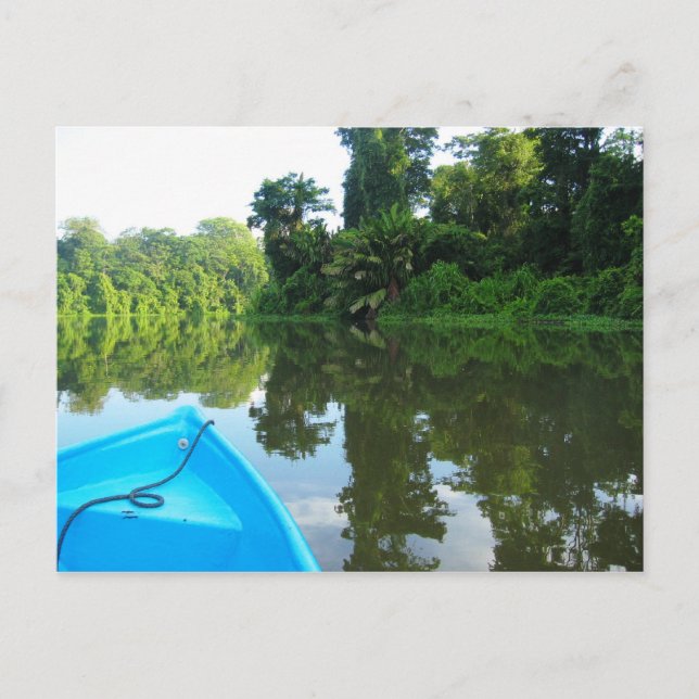 Kanufahren am Fluss in Tortuguero, Costa Rica Postkarte (Vorderseite)