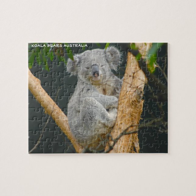 Kaola Bears Australien (Horizontal)