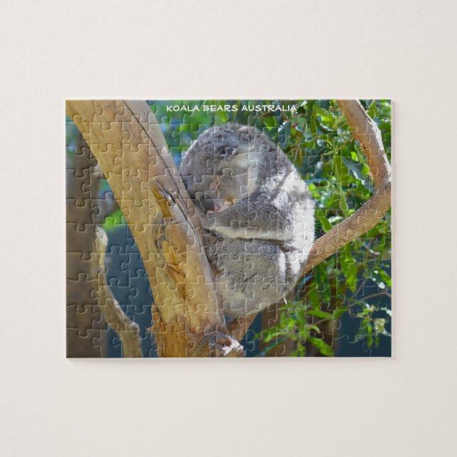 Kaola Bears Australien (Horizontal)