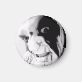 Kaos Anubis BLoody Face Good vs Evil Magnet