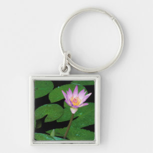 Kap Blauer Wasserlilie (Nymphaea Capensis) Schlüsselanhänger
