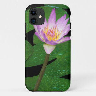 Kap-Blauwasserlilie (Nymphaea Capensis) Case-Mate iPhone Hülle