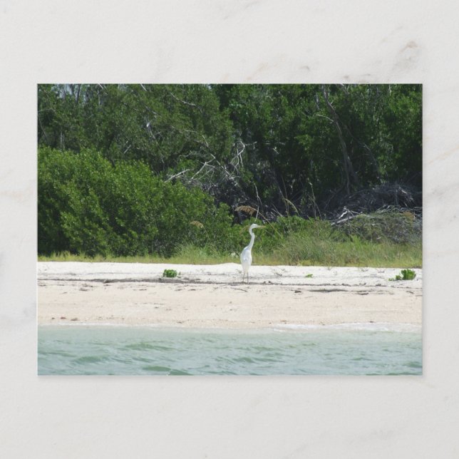 Kap Sable, Fl. Postkarte (Vorderseite)