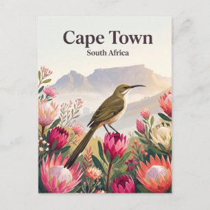 Kap-Zucker Vogel, Kapstadt Südafrika Postkarte