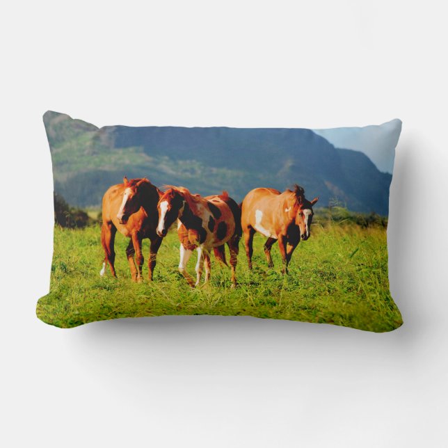 Kapaa Pferde - Kauai Hawaii Lendenkissen (Vorderseite)
