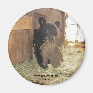 Kapalua avec le gant - aimant