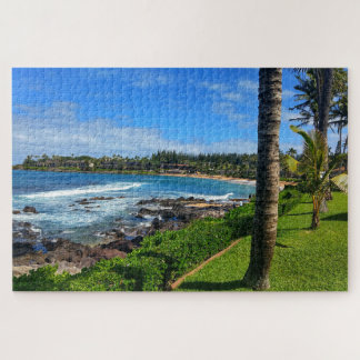Kapalua Bay Maui