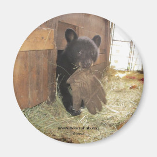 Kapalua mit Handschuh - Magnet