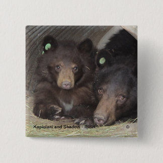 Kapiolani und Schatten - quadratischer Knopf Button