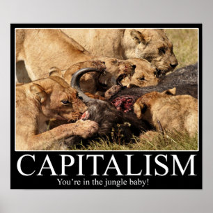 Kapitalismus Demotivational Poster