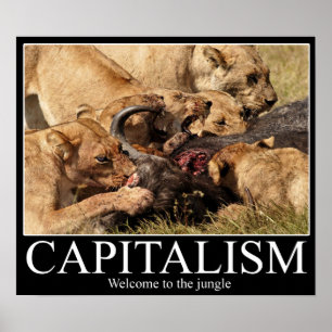 Kapitalismus Demotivationalität Poster