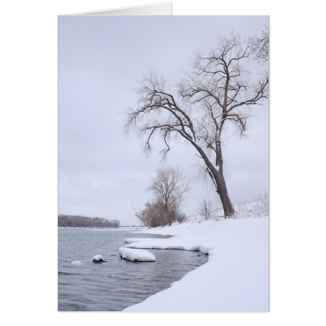 Kaposia Landing in Winter (Vorne)