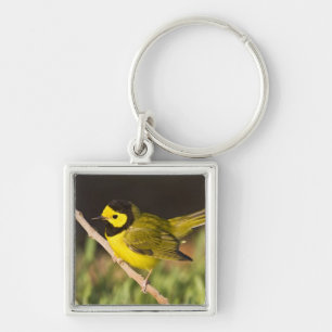 Kappenwaldsänger (Wilsonia citrina) Schlüsselanhänger