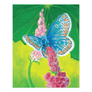 Kappmans-Blauer Schmetterling (Polyommatus-Heilkrä Fotodruck