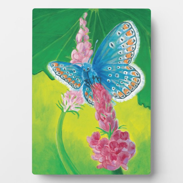 Kappmans-Blauer Schmetterling (Polyommatus-Heilkrä Fotoplatte (Vorderseite)
