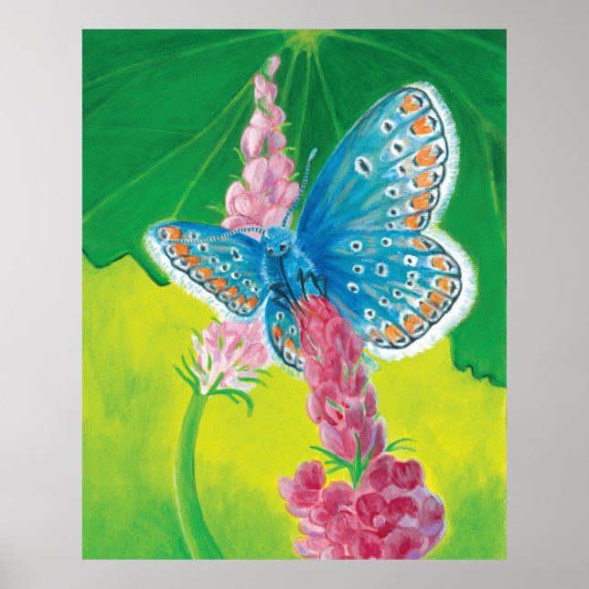 Kappmans-Blauer Schmetterling (Polyommatus-Heilkrä Poster (Vorne)