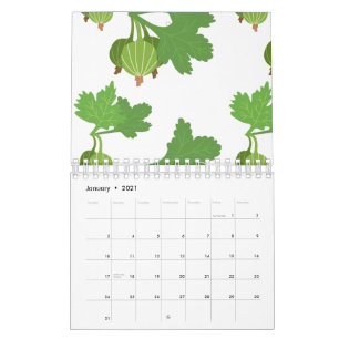 Kapstachelbeer-Pflanze Exotische Frucht Physalis Kalender