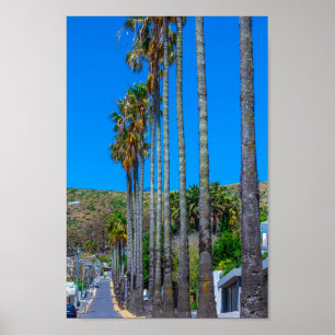 Kapstadt Fresnaye Stadtbild Südafrika Poster