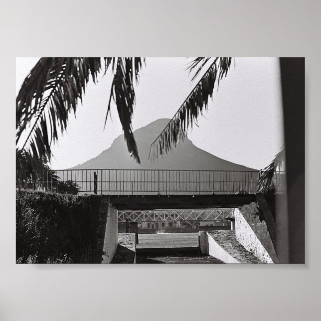 Kapstadt Löwen Leiter Südafrika ZA Poster (Vorne)