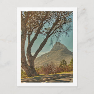 Kapstadt Löwenkopf Landschaft Südafrika Postkarte