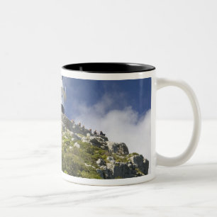 Kapstadt, Südafrika. Ein Leuchtturm auf der Zweifarbige Tasse