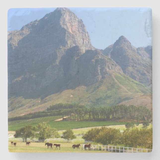 Kapstadt, Western Cape, Südafrika Steinuntersetzer (Vorderseite)