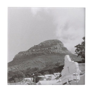 Kapstadt ZA Südafrika Löwe Leiter Fliese