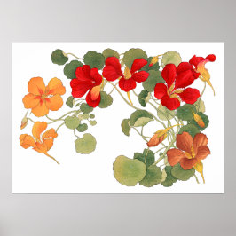 Kapuzinerkresse-Blüte, japanische Ukiyo-e-Kunst Poster