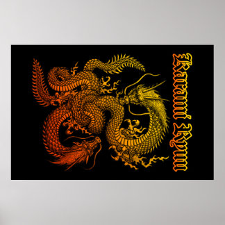 Karami Ryuu 1 Poster