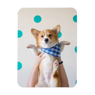 Karate-Corgi-Magnet Magnet