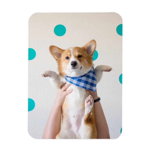 Karate-Corgi-Magnet Magnet (Vertikal)