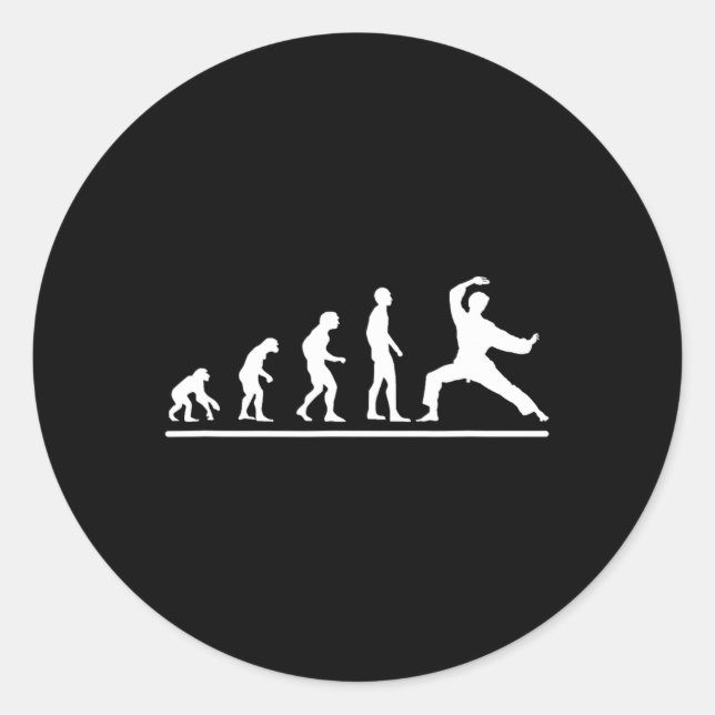 Karate-Evolution Karate-Schlag Männer Lustiger Kar Runder Aufkleber (Vorderseite)