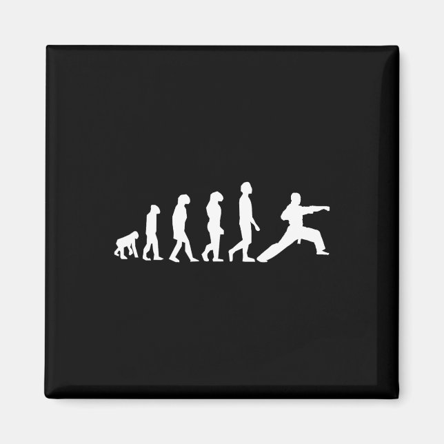 Karate-Evolution  Magnet (Vorne)