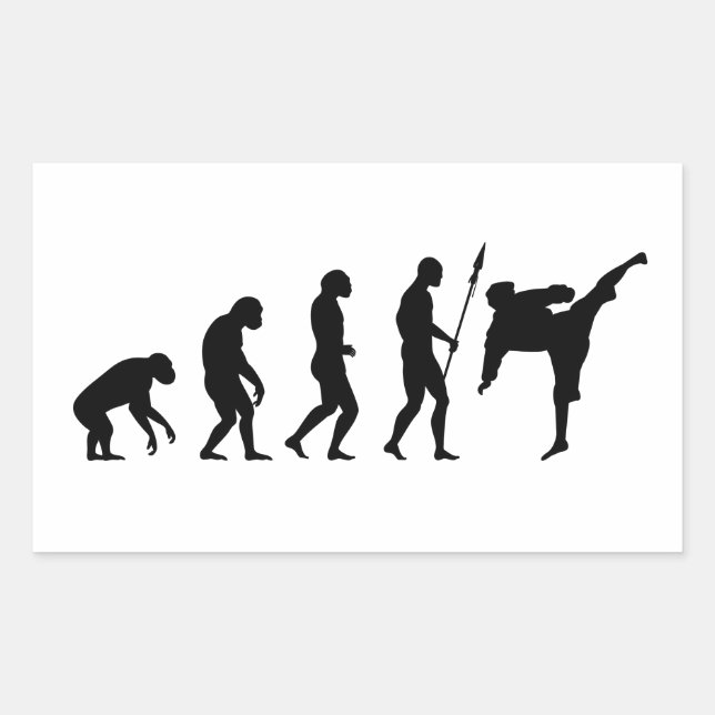 Karate-Kick-Evolution Rechteckiger Aufkleber (Vorderseite)