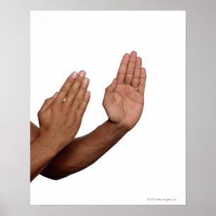 Karate Stance 2 Poster