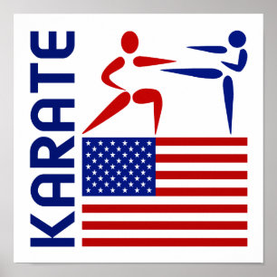 Karate Vereinigte Staaten Poster
