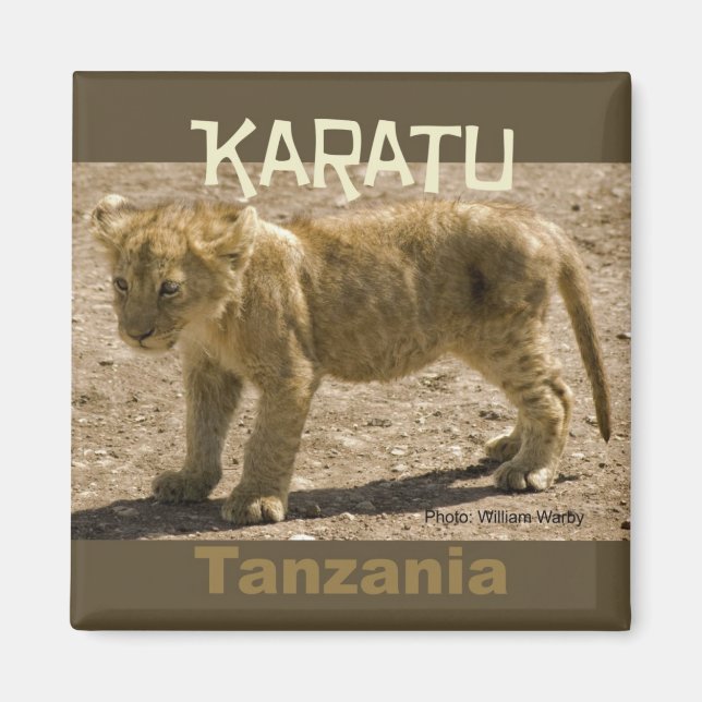 Karatu Tanzanie Afrique Frigo Magnet Lion Cub (Devant)