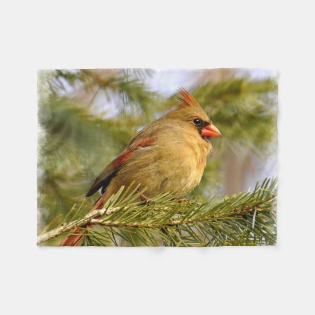 Kardinal 1A Fleecedecke (Vorderseite (Horizontal))