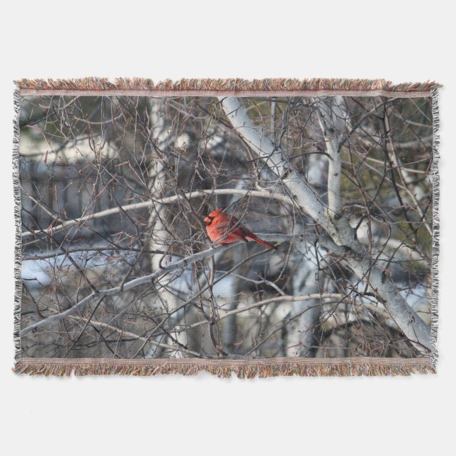 Kardinal 2926 Blanket Decke (Vorderseite)