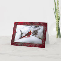 Kardinal 6243 Weihnachtskarte