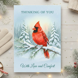 Kardinal Aquarell Weihnachten Sympathie Erinnerung Karte